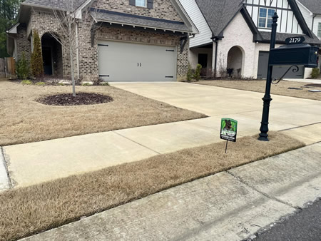 When to Start Weed Control in Central Alabama: A Month-by-Month Plan