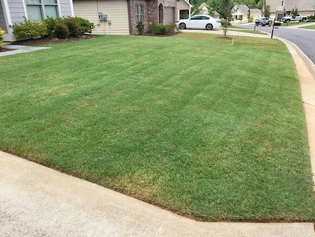 Weed Control & Fertilization Thumbnail