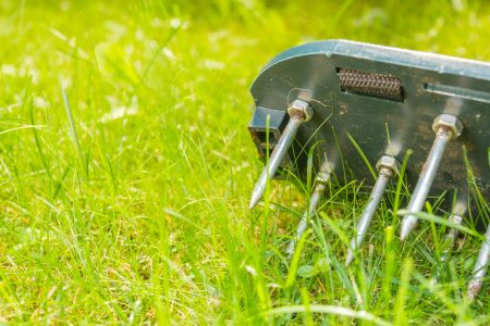 What to Do After Lawn Aeration: Watering, Mowing, and Fertilizing